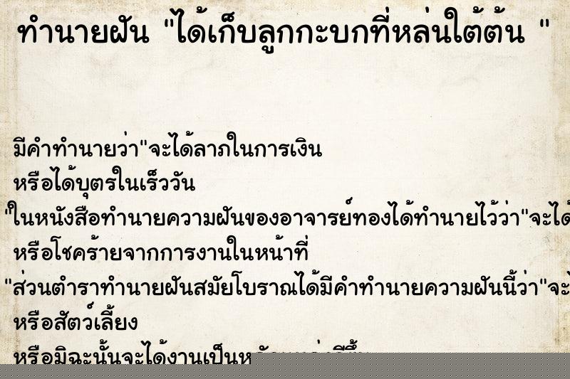 ทำนายฝัน ได้เก็บลูกกะบกที่หล่นใต้ต้น 